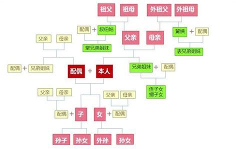 叔公是幾等親|(一)血親之親系及親等圖